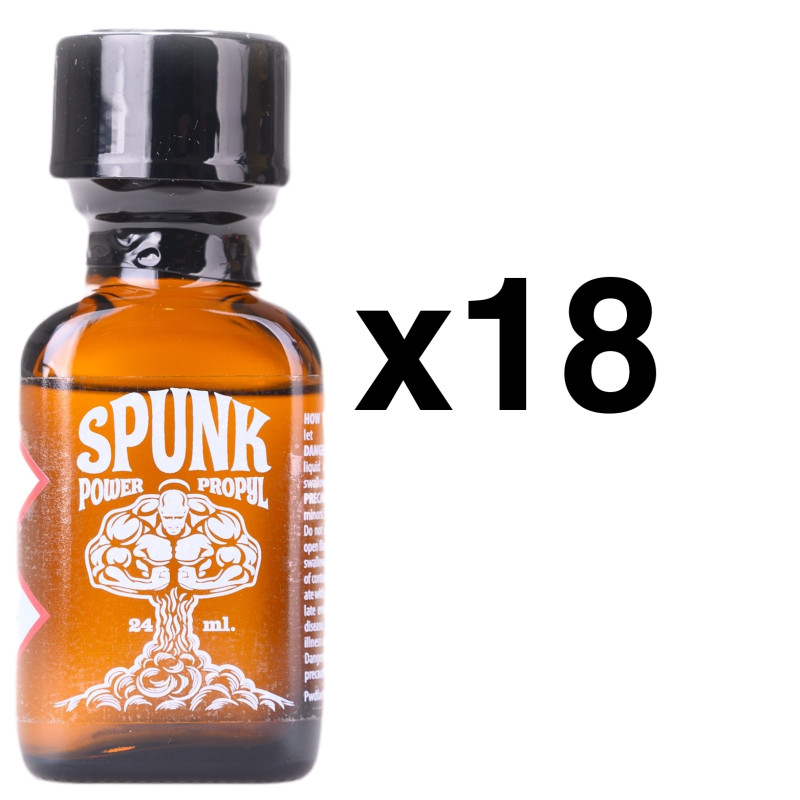 BGP Leather Cleaner SPUNK POWER 24ml x18